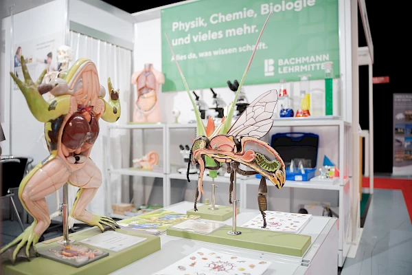 Swissdidact Bern Bild 19